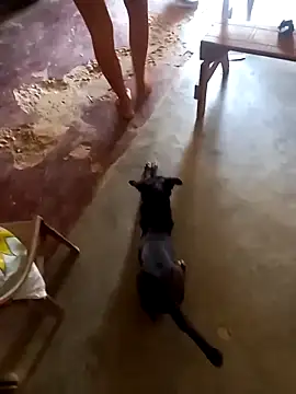 sexicaribe2 online show from 10-16-25, 06:16