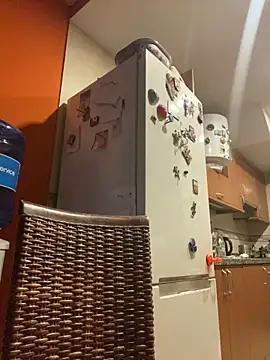 camelia3 online show from 10-25-25, 07:36