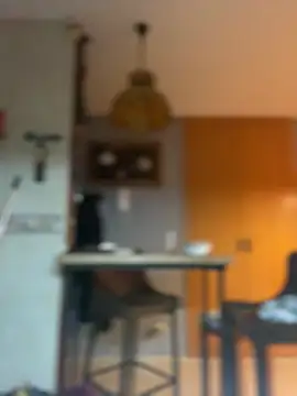 camelia3 online show from 02-25-26, 12:44