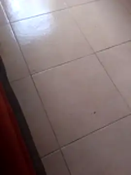 Robhalford33 online show from 01-06-26, 07:07