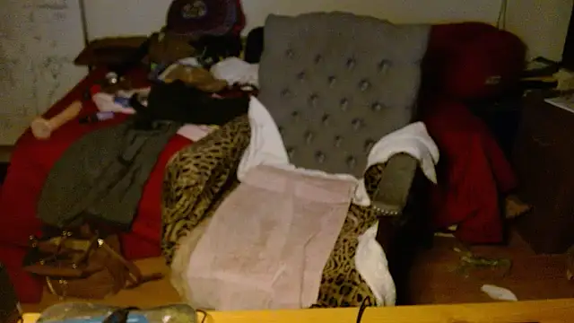 Snapshot of Transjoni chatting on 01-08-26, 09:48 Transjoni online show from 01-08-26, 09:48