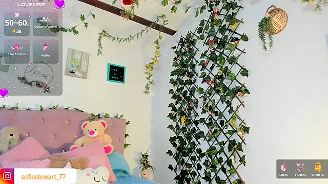 steewart  online show from 01-30-25, 03:55