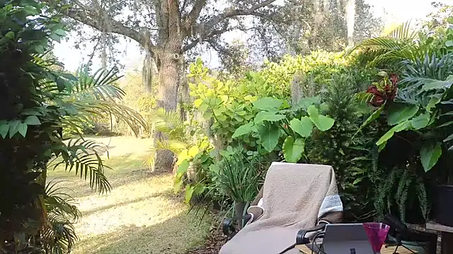 eliberator1777 online show from 01-31-25, 09:37