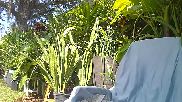 eliberator1777 online show from 05-16-26, 07:57