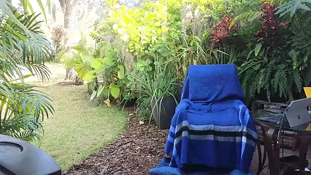 eliberator1777 online show from 12-10-24, 03:44