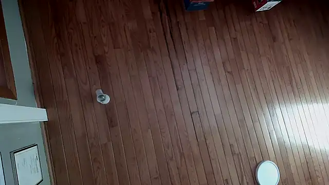 Snapshot of riverside197575 chatting on 10-23-25, 09:08 riverside197575 online show from 10-23-25, 09:08