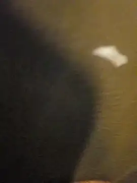 Snapshot of Sripandara1 chatting on 03-22-25, 12:04 Sripandara1 online show from 03-22-25, 12:04