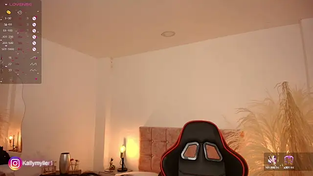 Snapshot of KallyMyller1 chatting on 03-01-25, 11:04 KallyMyller1 online show from 03-01-25, 11:04