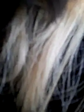 Dirtyfeelin online show from 12-14-25, 12:00