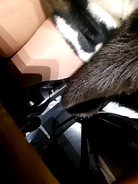 Dirtyfeelin online show from 11-18-25, 02:42