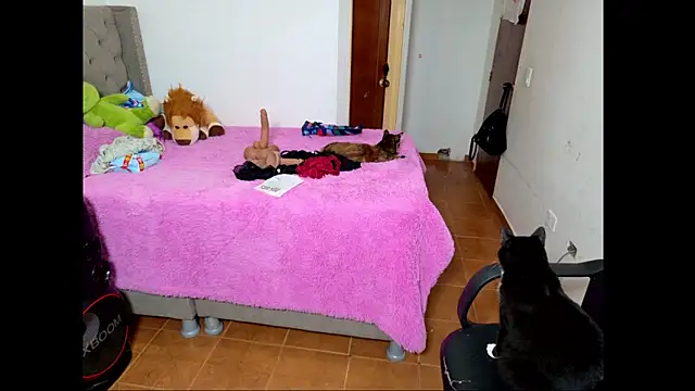 emily honter online show from 12-14-25, 08:47