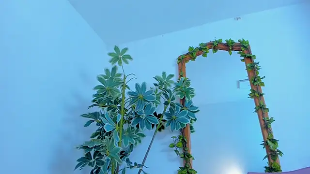 NinaWong online show from 02-26-26, 07:03