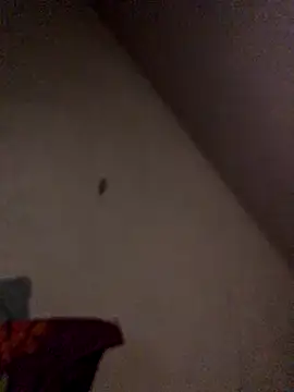 Snapshot of Chris-LE91 chatting on 09-21-25, 01:11 Chris-LE91 online show from 09-21-25, 01:11