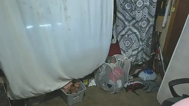 sex4fun 21 online show from 04-02-26, 11:11