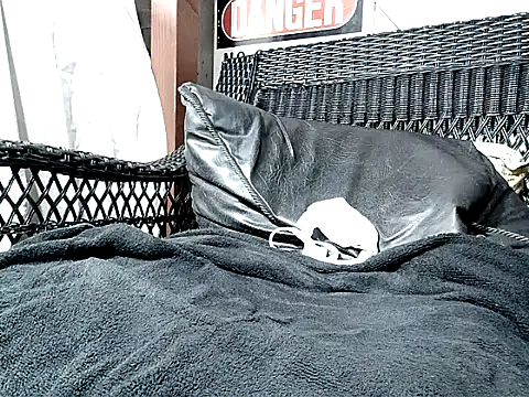 HungHawaiian808xh online show from 11-10-25, 04:50