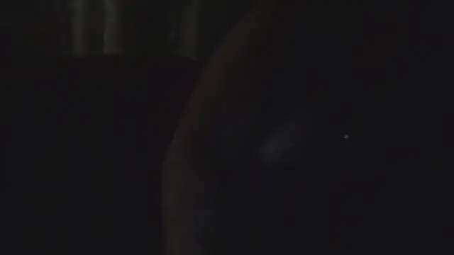 Dolcezza online show from 11-24-25, 03:17