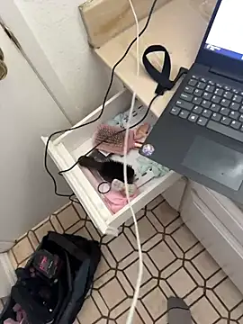 Exclusivenutxxx online show from 11-10-25, 10:37