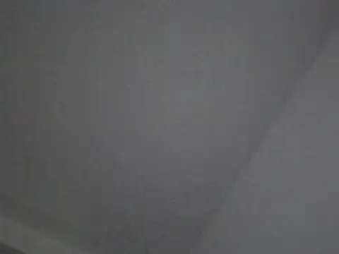 Snapshot of FallenDevil chatting on 10-24-25, 06:07 FallenDevil online show from 10-24-25, 06:07