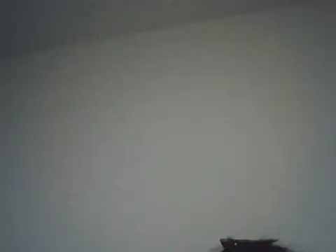 Snapshot of FallenDevil chatting on 11-16-25, 08:13 FallenDevil online show from 11-16-25, 08:13