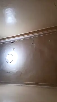 Snapshot of tslovetoys5 chatting on 03-20-26, 08:21 tslovetoys5 online show from 03-20-26, 08:21