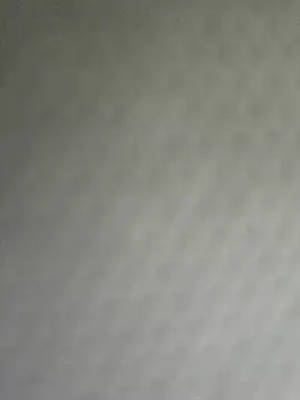 fit ass 2021 online show from 08-02-26, 03:20