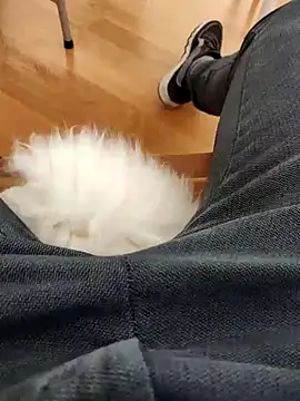 papiculo86 online show from 02-02-25, 09:07