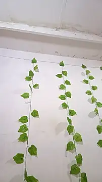 Snapshot of shayna_all chatting on 11-25-25, 06:08 shayna all online show from 11-25-25, 06:08