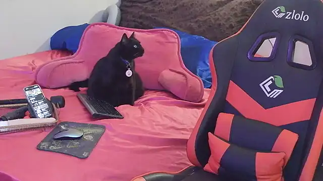 Snapshot of sugahfreeee chatting on 12-14-25, 08:09 sugahfreeee online show from 12-14-25, 08:09