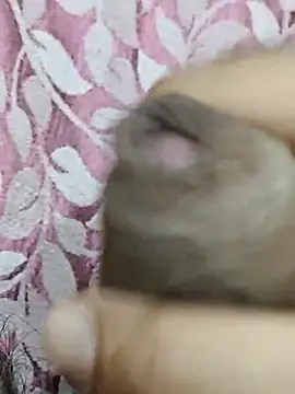 rockkyy9 online show from 03-04-26, 07:54