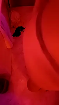 Misspadrona88 online show from 01-23-25, 12:57