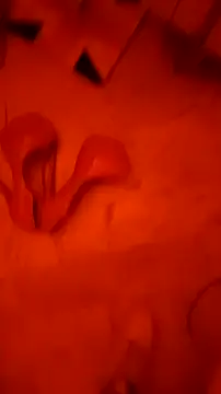 Misspadrona88 online show from 02-22-26, 03:57