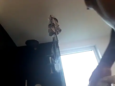 Prinzalbert7xh online show from 10-27-25, 12:28