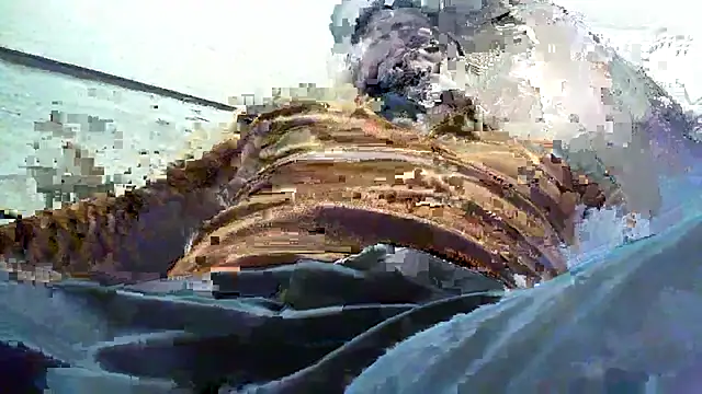 Billywax online show from 01-08-26, 09:15