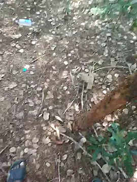 rameshmry1 online show from 02-21-26, 09:00