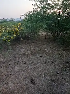 rameshmry1 online show from 03-05-26, 12:35