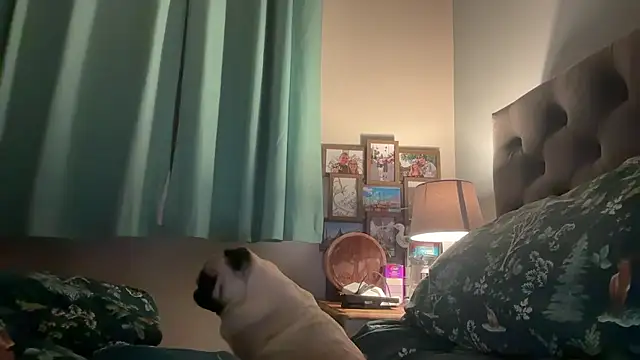 short sweetpea online show from 01-12-26, 06:09