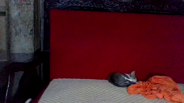 axomen online show from 02-16-25, 03:58