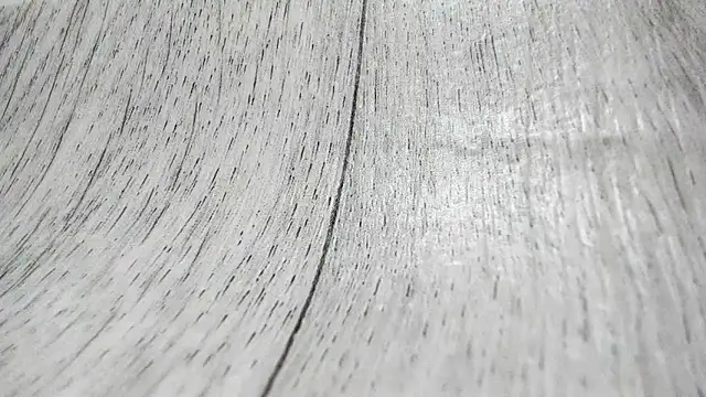 LittleSonya online show from 12-15-25, 04:57