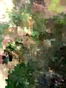 FinableKnee online show from 03-26-26, 04:44