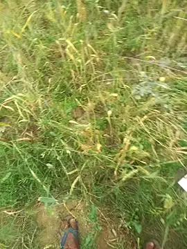 FinableKnee online show from 03-29-26, 04:14