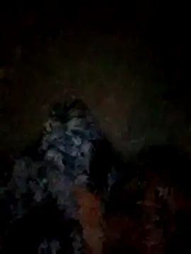 FinableKnee online show from 11-10-25, 03:06