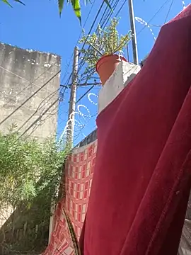 Alicbranca online show from 03-15-26, 02:35