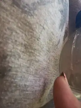 Alicbranca online show from 03-19-26, 12:38