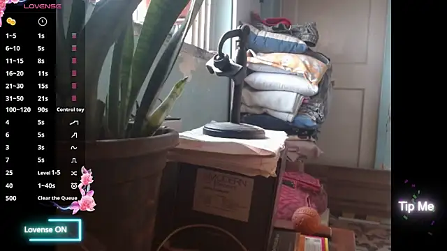 Star-Night online show from 02-01-26, 04:11