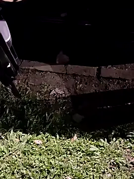 jeancarloscum12 online show from 02-10-26, 08:35