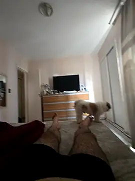 MysterBearMG online show from 10-25-25, 05:13