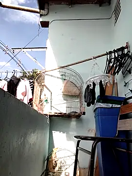 Snapshot of Monseratte21 chatting on 09-11-25, 01:11 Monseratte21 online show from 09-11-25, 01:11