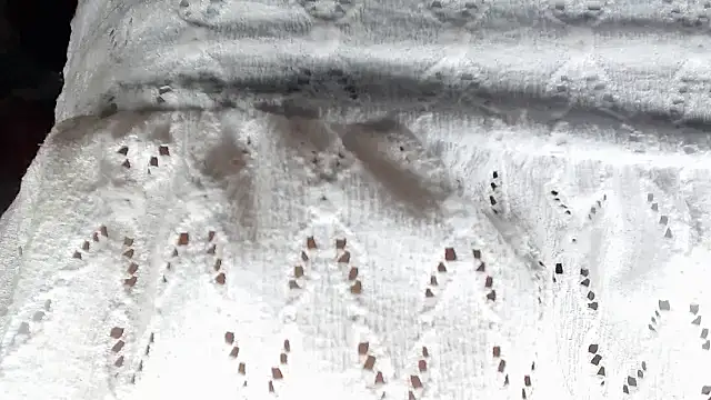 aleera starxx982 online show from 01-11-26, 12:01