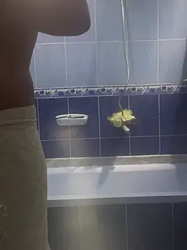 Snapshot of Arabien_Pharaoh- chatting on 03-20-25, 05:58 Arabien Pharaoh- online show from 03-20-25, 05:58