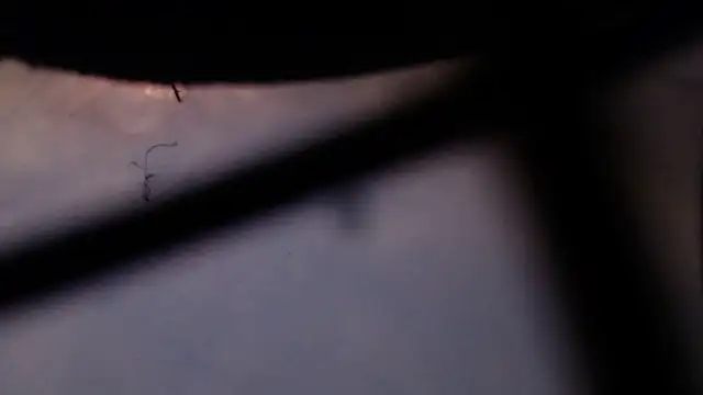 Cordt27 online show from 02-12-26, 04:07